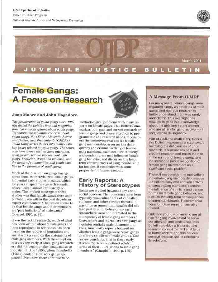 Female Gangs: A Focus on Research